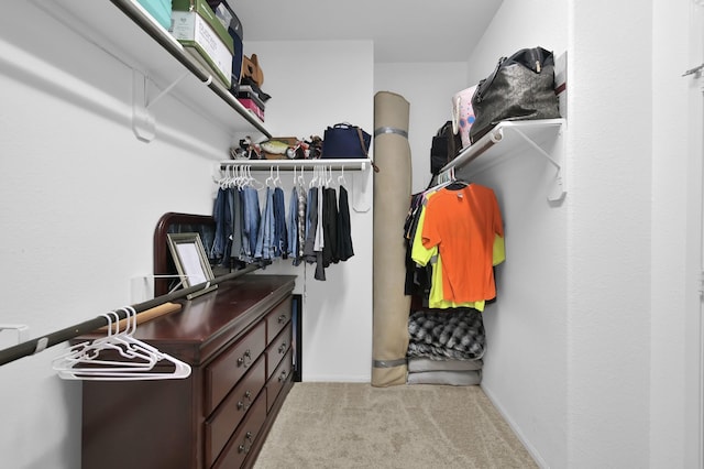 7455 Durango Creek Dr, Magnolia, TX 77354 - walk in closet with light colored carpet