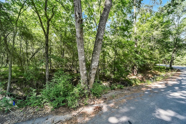 0 Frontier Rd, Stagecoach, TX 77355 - photo 2