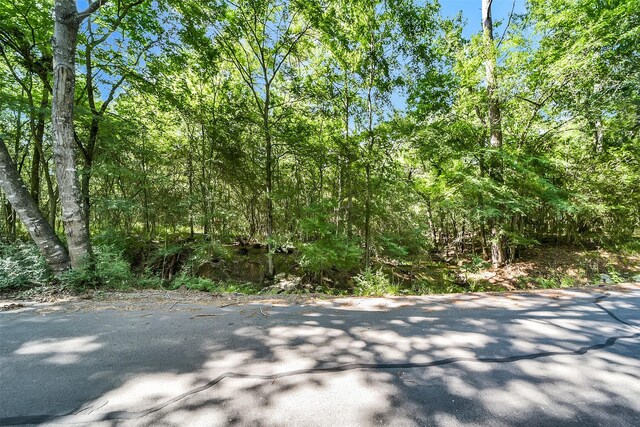 0 Frontier Rd, Stagecoach, TX 77355 - photo 6