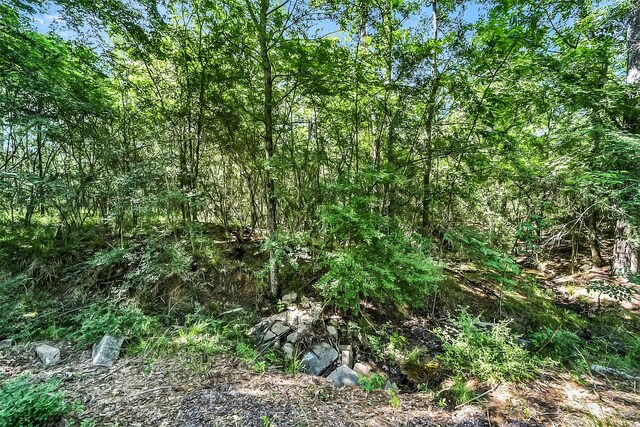 0 Frontier Rd, Stagecoach, TX 77355 - photo 10