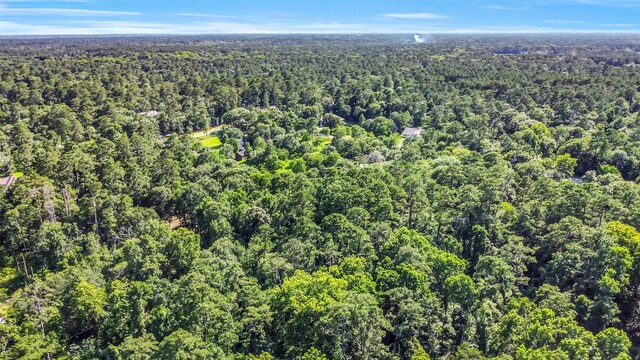 0 Boot Hill Rd, Stagecoach, TX 77355 - photo 10