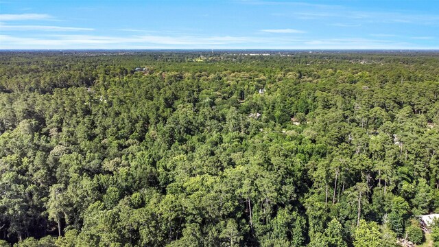 0 Boot Hill Rd, Stagecoach, TX 77355 - photo 11