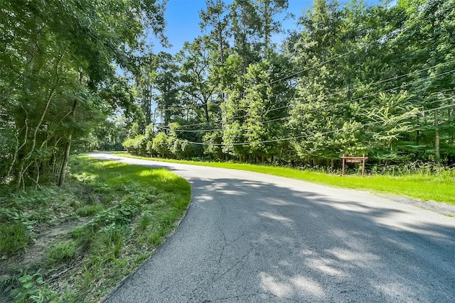 0 Boot Hill Rd, Stagecoach, TX 77355 - photo 1