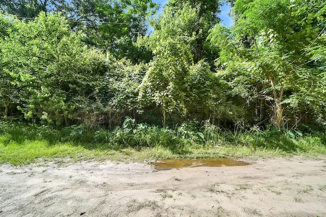 0 Boot Hill Rd, Stagecoach, TX 77355 - photo 2
