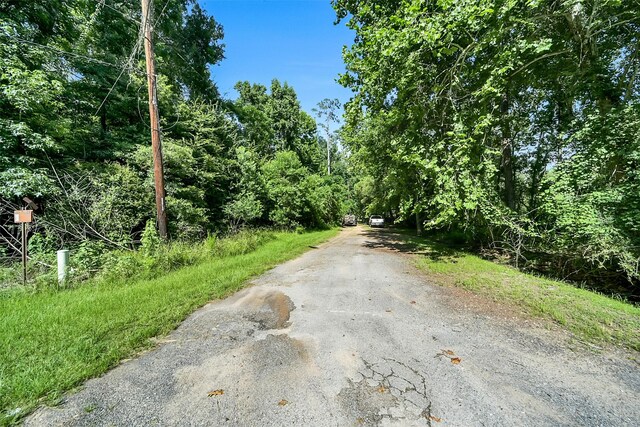 0 Boot Hill Rd, Stagecoach, TX 77355 - photo 3