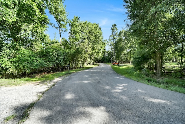 0 Boot Hill Rd, Stagecoach, TX 77355 - photo 4