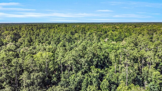 0 Boot Hill Rd, Stagecoach, TX 77355 - photo 5