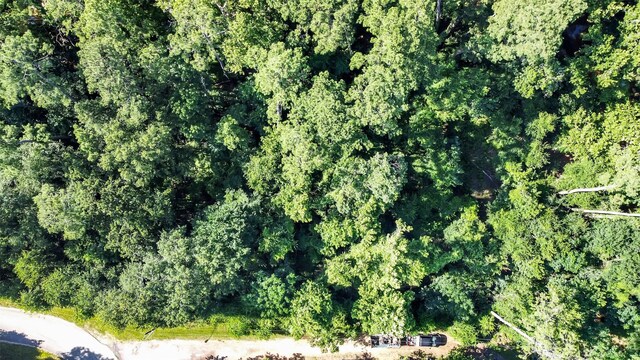 0 Boot Hill Rd, Stagecoach, TX 77355 - photo 6