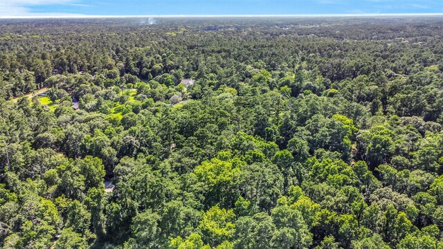 0 Boot Hill Rd, Stagecoach, TX 77355 - photo 7
