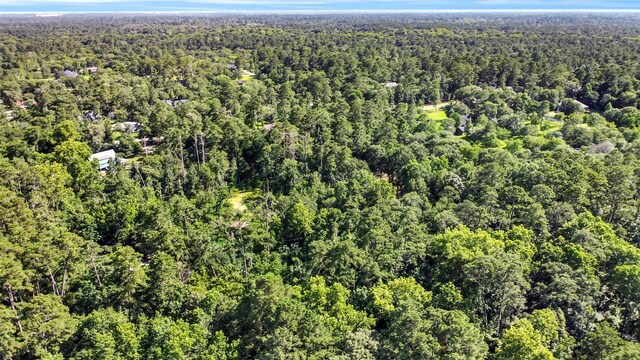0 Boot Hill Rd, Stagecoach, TX 77355 - photo 8