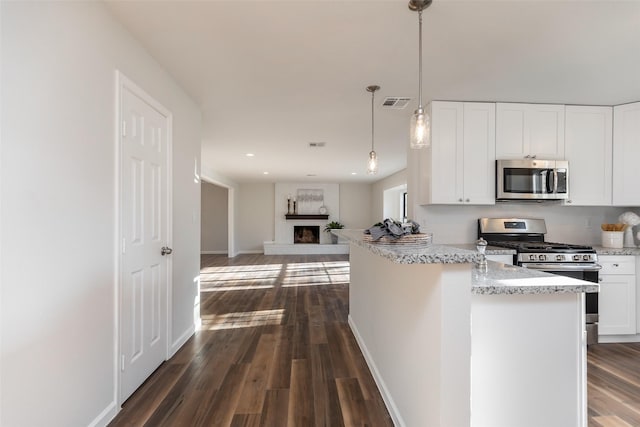 12707 Pleasant Grove Rd, Cypress, TX 77429 - kitchen featuring stainless steel appliances, open floor plan, dark wood-style floors, white cabinetry, and light stone counters
