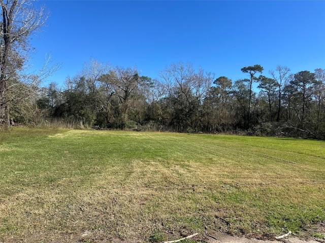 0 Bolero Dr, Houston, TX 77049 - photo 4