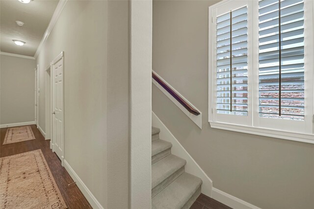 2931 N Cotswold Manor Dr, Houston, TX 77339 - photo 27