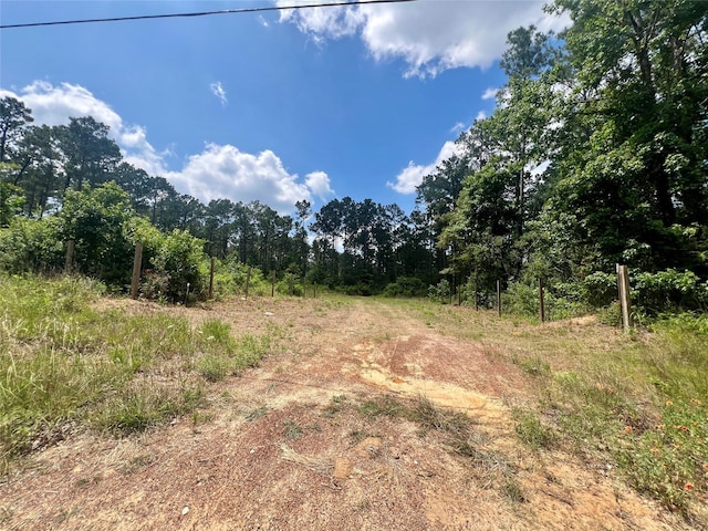 1859 Mill Gate Rd, Livingston, TX 77351 - photo 2