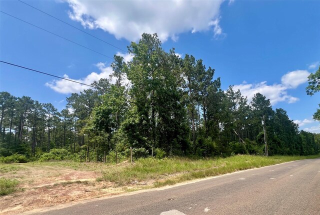 1859 Mill Gate Rd, Livingston, TX 77351 - photo 5
