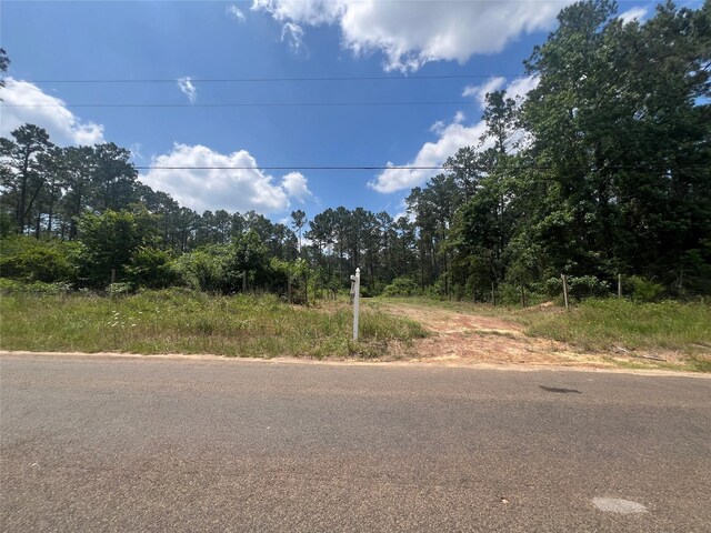 1859 Mill Gate Rd, Livingston, TX 77351 - photo 9