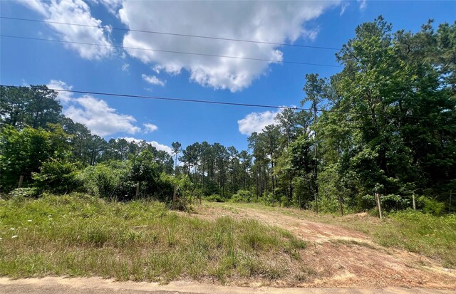 1859 Mill Gate Rd, Livingston, TX 77351 - photo 10