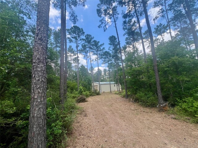 1859 Mill Gate Rd, Livingston, TX 77351 - photo 12