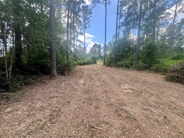 1859 Mill Gate Rd, Livingston, TX 77351 - photo 13
