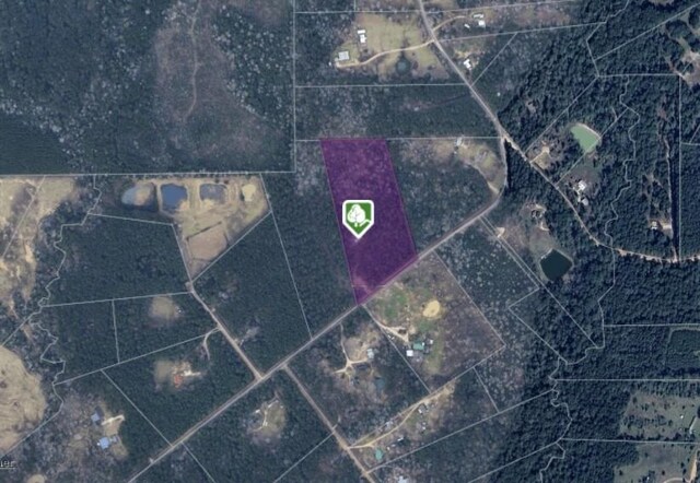 1859 Mill Gate Rd, Livingston, TX 77351 - photo 23