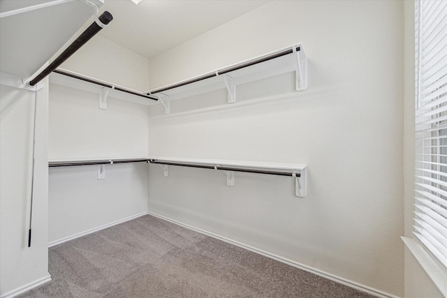 10967 Cannes Memorial Dr, Houston, TX 77043 - spacious closet featuring carpet floors