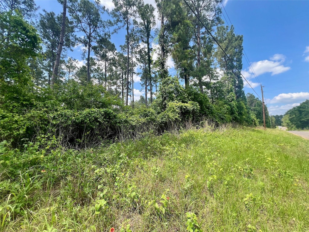 TBD Mill Gate Rd, Livingston, TX 77351 - photo 1