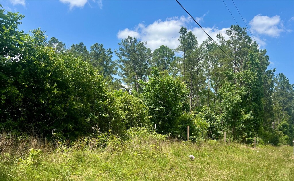 TBD Mill Gate Rd, Livingston, TX 77351 - photo 3