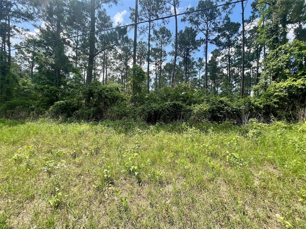 TBD Mill Gate Rd, Livingston, TX 77351 - photo 4