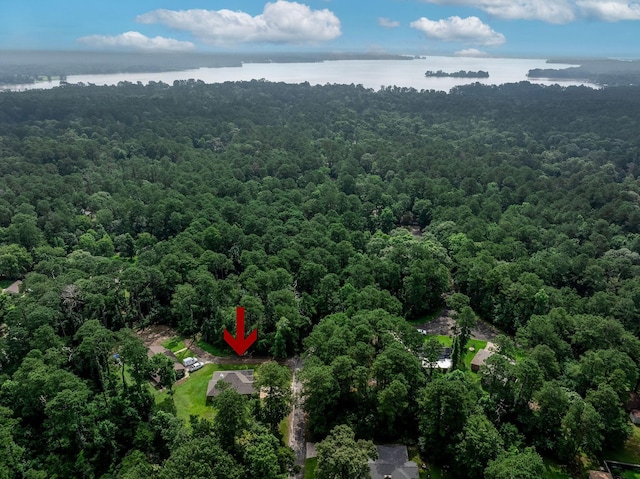 5 Corkwood Rd, Trinity, TX 75862 - aerial overview of property's location featuring a forest and a nearby body of water
