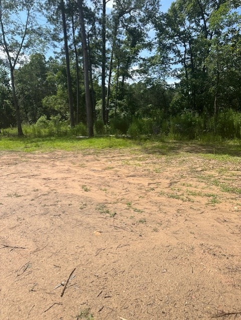 186 Adrian Hall Dr, Cleveland, TX 77328 - photo 6