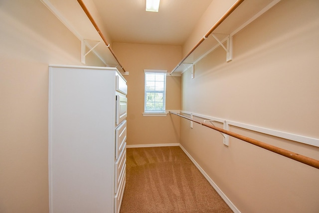 14431 Basalt Ln, Houston, TX 77077 - walk in closet with light carpet