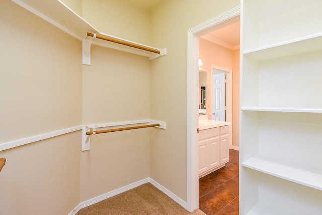 14431 Basalt Ln, Houston, TX 77077 - view of walk in closet