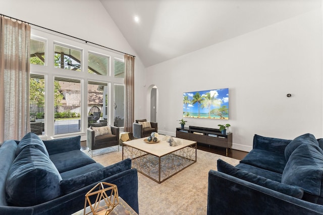 22 Mayapple Blossom Pl, Tomball, TX 77375 - living area featuring high vaulted ceiling, arched walkways, wood finished floors, and recessed lighting