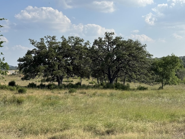 TRACT104 Winans Creek Rnch, Bandera, TX 78003 - photo 2
