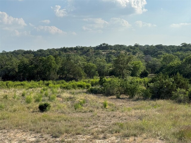 TRACT104 Winans Creek Rnch, Bandera, TX 78003 - photo 3