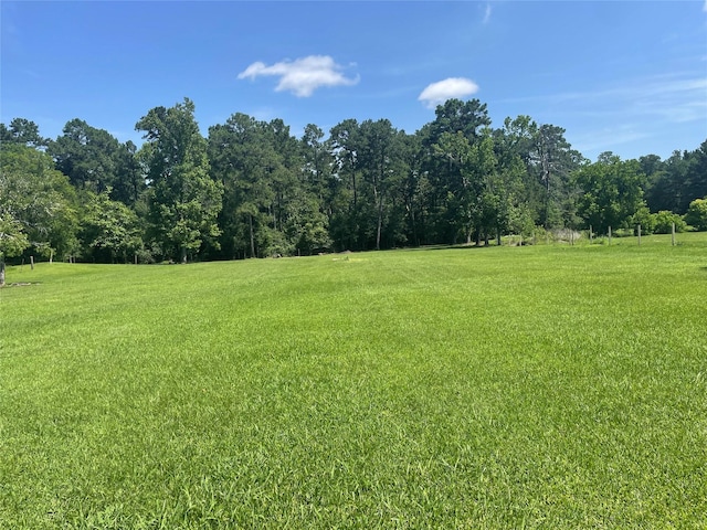 2365 US Highway 190, Huntsville, TX 77340 - photo 6