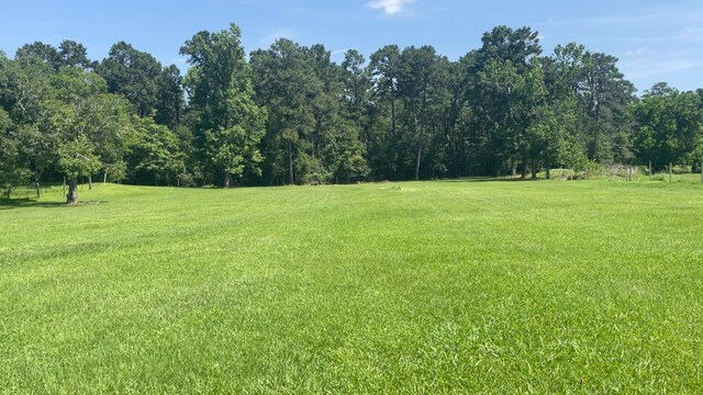 2365 US Highway 190, Huntsville, TX 77340 - photo 9