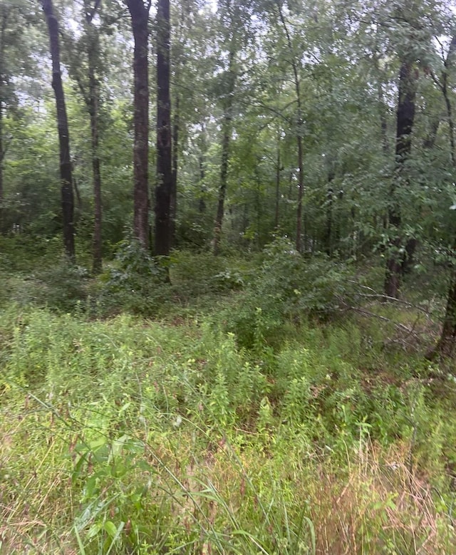 TBD Moonbeam Dr, Livingston, TX 77351