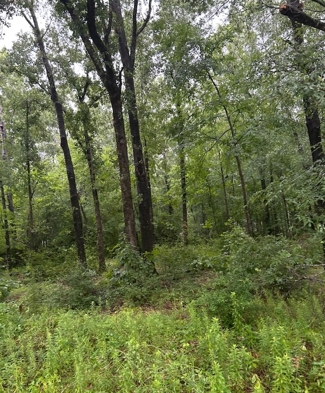 TBD Moonbeam Dr, Livingston, TX 77351