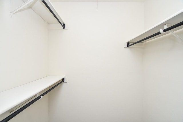 14511 Lourdes Dr, Houston, TX 77049 - view of spacious closet