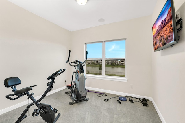 19303 Tree Canopy Ct, Cypress, TX 77433 - workout room featuring baseboards
