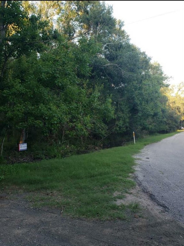 0 Brazos River Rd, Damon, TX 77430