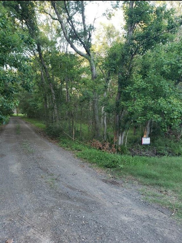 0 Brazos River Rd, Damon, TX 77430