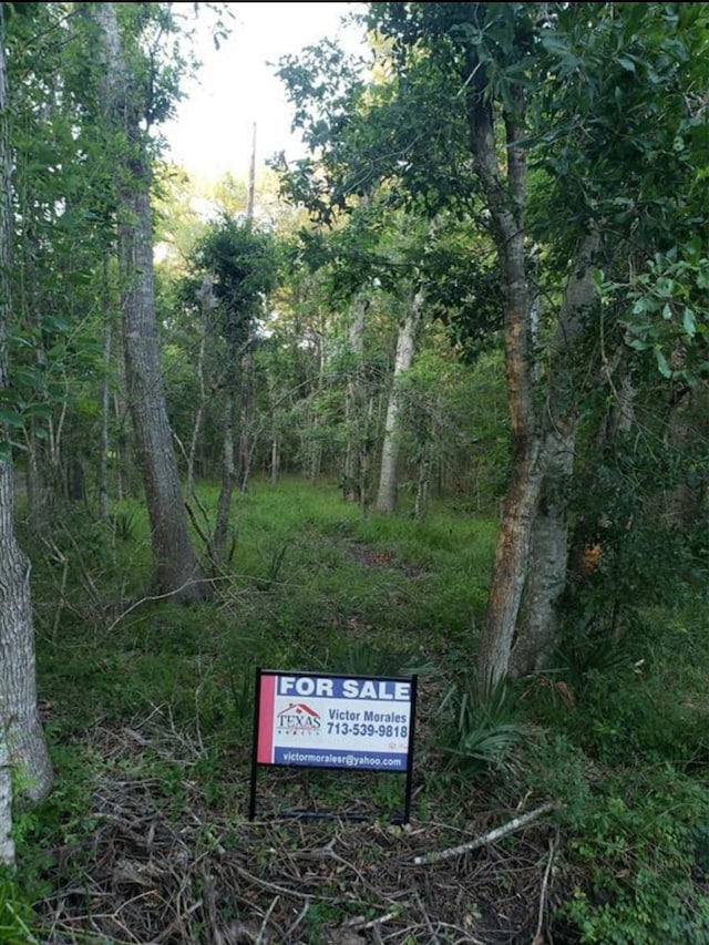0 Brazos River Rd, Damon, TX 77430