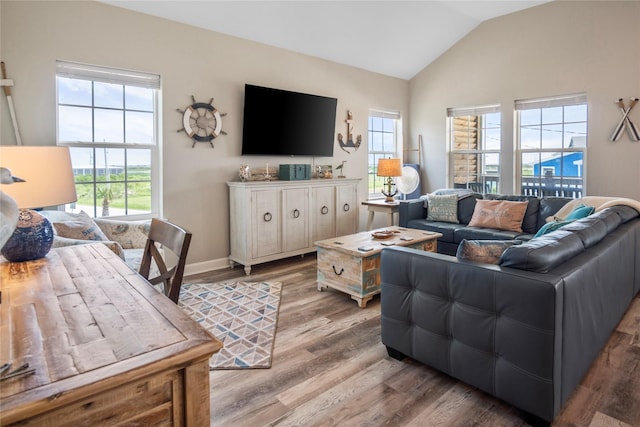975 S S Cv, Crystal Beach, TX 77650 - living area featuring lofted ceiling and wood finished floors