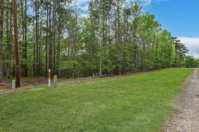 433 Saddle Surrey Ln, Coldspring, TX 77331