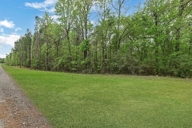433 Saddle Surrey Ln, Coldspring, TX 77331