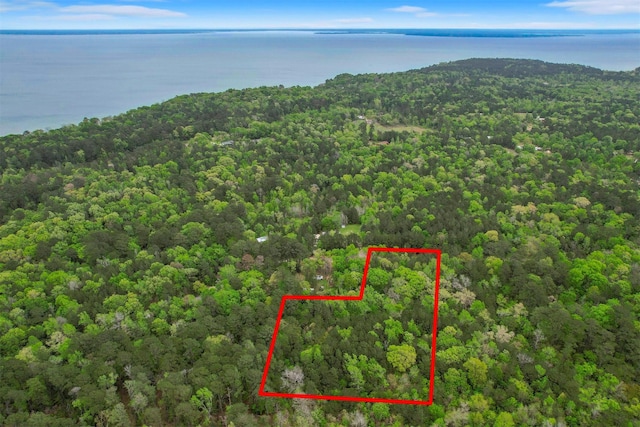 433 Saddle Surrey Ln, Coldspring, TX 77331