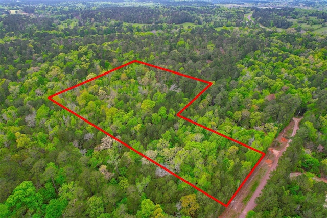 433 Saddle Surrey Ln, Coldspring, TX 77331
