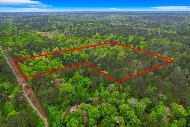 433 Saddle Surrey Ln, Coldspring, TX 77331